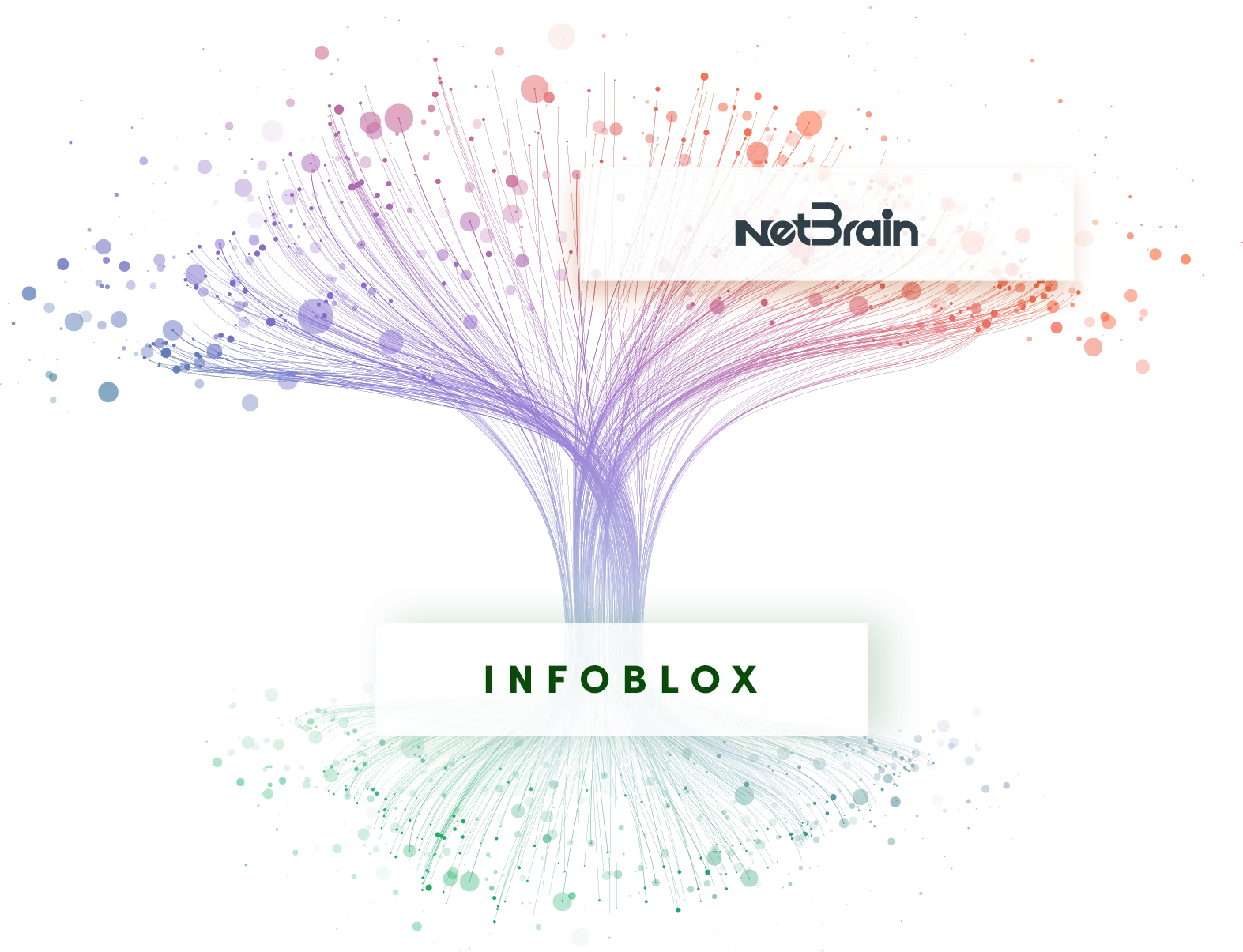 NetBrain supporting content image